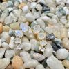 Ear Climber - Gold Moonstone - Image 3